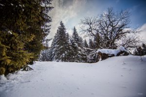 Domaine nordique du col du Béal