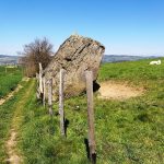 © Sentier du But de Samson - Mairie de Saint Denis sur Coise