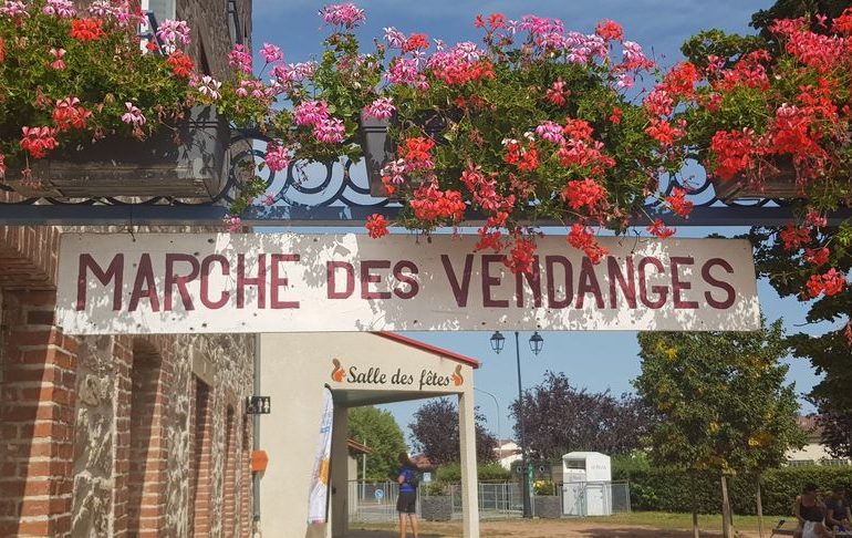 © 32ème marche des vendanges - Familles rurales