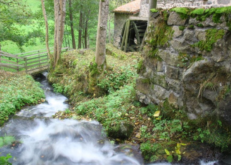 © Moulin de Vignal - Moulin de Vignal