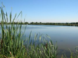 Balade bucolique en Forez