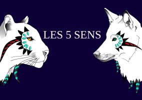 Les 5 sens