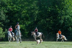 Balades et randonnées à cheval