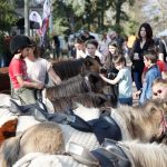 © Pôle tourisme - Comice agricole - Hubert Genouilhac