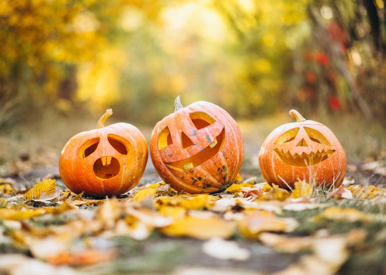 © Halloween à Cervières : Une fête terrifiante pour petits et grands ! - Pixabay