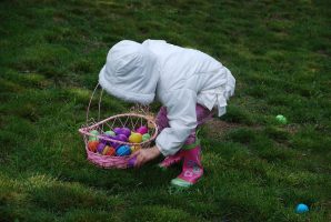 Chasses aux oeufs en Loire Forez