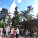 © Animations musicales et bals guinguette avec orchestre - Les Estivales du parc - Les Foréziales