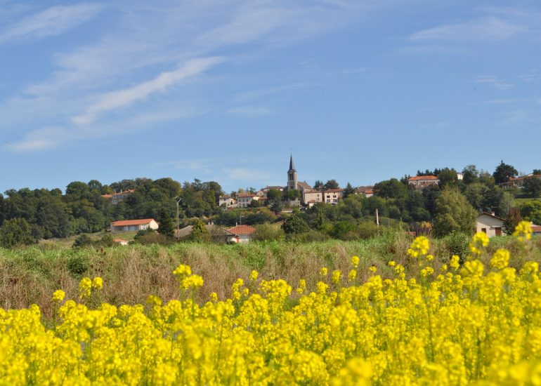 © Village de Saint-Cyr-les-Vignes - OT Forez-Est