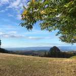 © Le tour de Montchal - OT Forez-Est