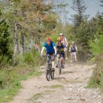 © N°64 - le Haut-Forez - Espace VTT-FFC Massif des Bois Noirs - Arnaud Hauteroche