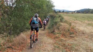 Les Grands Bois - Circuit VTT en Forez