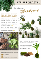 Je crée mon kokédama - atelier créatif et végétal