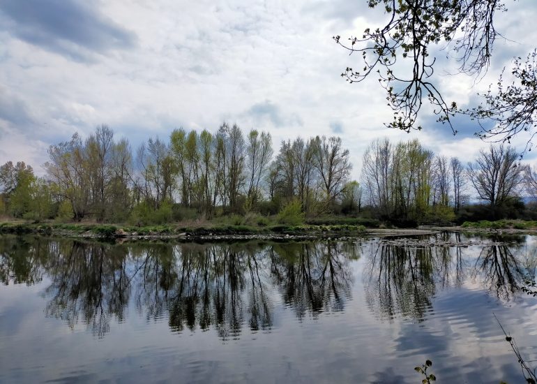 © Marche des bords de Loire - OT Forez Est