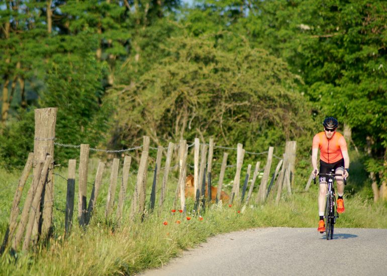 © Boucle cyclable F1 : rendez-vous au château à vélo : Saint-Jodard / Château de la Roche - OT Forez Est