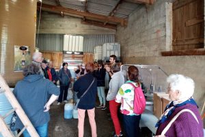 De ferme en ferme - La source distillerie