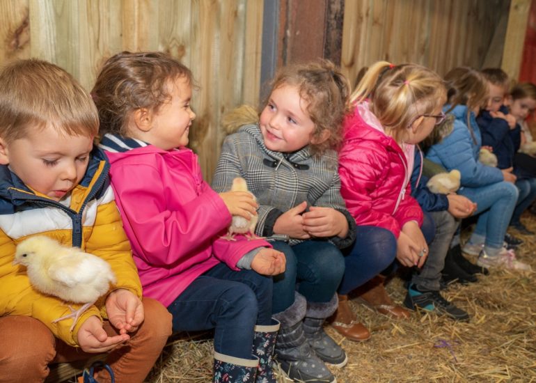 © Chasse aux oeufs - La ferme aux trois granges