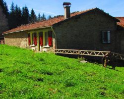 Les paddocks, chambre d'hôtes