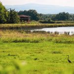 © A la découverte de la Route des Vins Forez-Roannais en Loire Volcanique - DR Loire tourisme