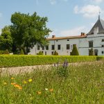 © A la découverte de la Route des Vins Forez-Roannais en Loire Volcanique - DR Loire tourisme