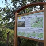 © Sentier découverte du viaduc du pont marteau : le bois de la dame - OT Forez-Est