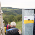 © Sentier découverte du viaduc du pont marteau : les chauves-souris - OT Forez-Est