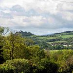 © Vue depuis la chambre - La Longère Forézienne