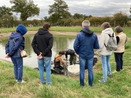 Plongez dans le monde de la pisciculture...