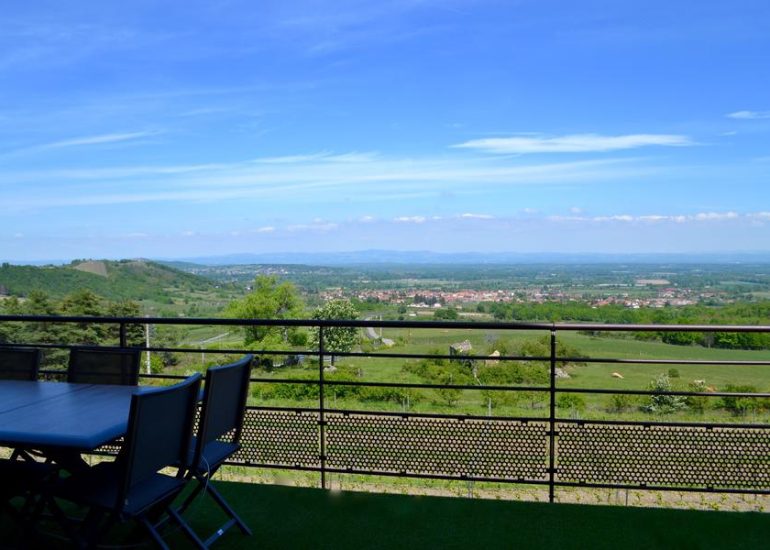 Vue sur Vignes