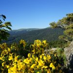 © En VTT dans le Forez - Chalmazel - Office de tourisme Loire Forez