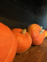 Atelier Cookies aux courges bio de la ferme et aux pépites de chocolat !