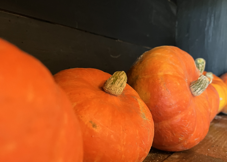 © Atelier Cookies aux courges bio de la ferme et aux pépites de chocolat ! - la ferme aux trois granges