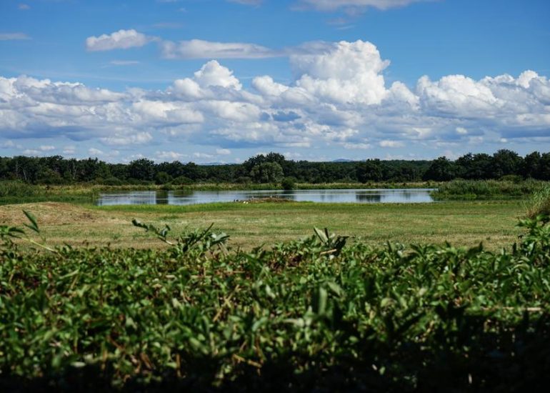 © Arthun - Office de tourisme Loire Forez