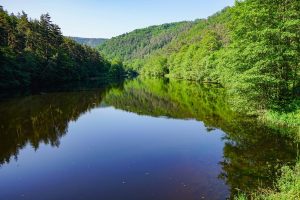 Etangs, vignes et villages - Boucle sportive - Boucle  LF 2