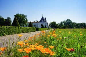 Vignoble et patrimoine - Boucle LF 3