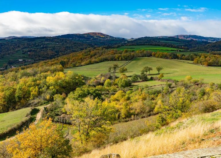 © Villages et chateaux - Office de tourisme Loire Forez