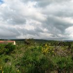 © Parcours du Col de Baracuchet - Anne Massip