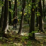 © N° 14 - Le débutant - Espace VTT-FFC Massif des Bois Noirs - Pixabay