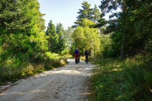 N° 63 - Les deux cols - Espace VTT-FFC Massif des Bois Noirs