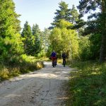 © N° 63 - Les deux cols - Espace VTT-FFC Massif des Bois Noirs - OTLF