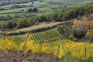 Ouverture de la Cave "Les vins de la Madone" - Fascinant week-end