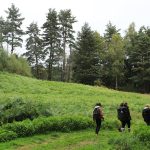 © Balade dans le Sylvetum - Office de tourisme Loire Forez