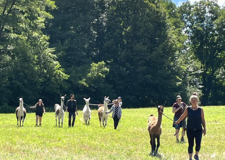 © Balades avec des lamas - Les gentilles canailles - Béatrice Barral