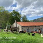 © Au Temps Passé - Gîtes de France