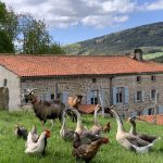 © Au Temps Passé - Gîtes de France