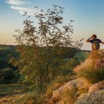 © Baracuchet, aux confins de l'Auvergne - PR 11_Bard - OTLF