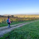 © Sentier découverte des 2 pics_Champdieu - OTLF