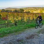 © Vélo à Champdieu - OT Loire Forez