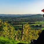 © Vélo à Champdieu - OT Loire Forez