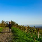 © Vélo à Champdieu - OT Loire Forez