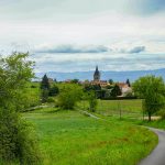 © Etangs, vignes et villages - Boucle sportive - Boucle  LF 2_Boën-sur-Lignon - OT Loire Forez